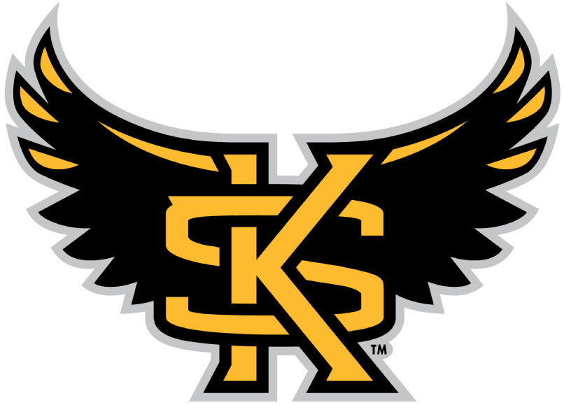 Kennesaw State Owls 2012-Pres Alternate Logo diy DTF decal sticker